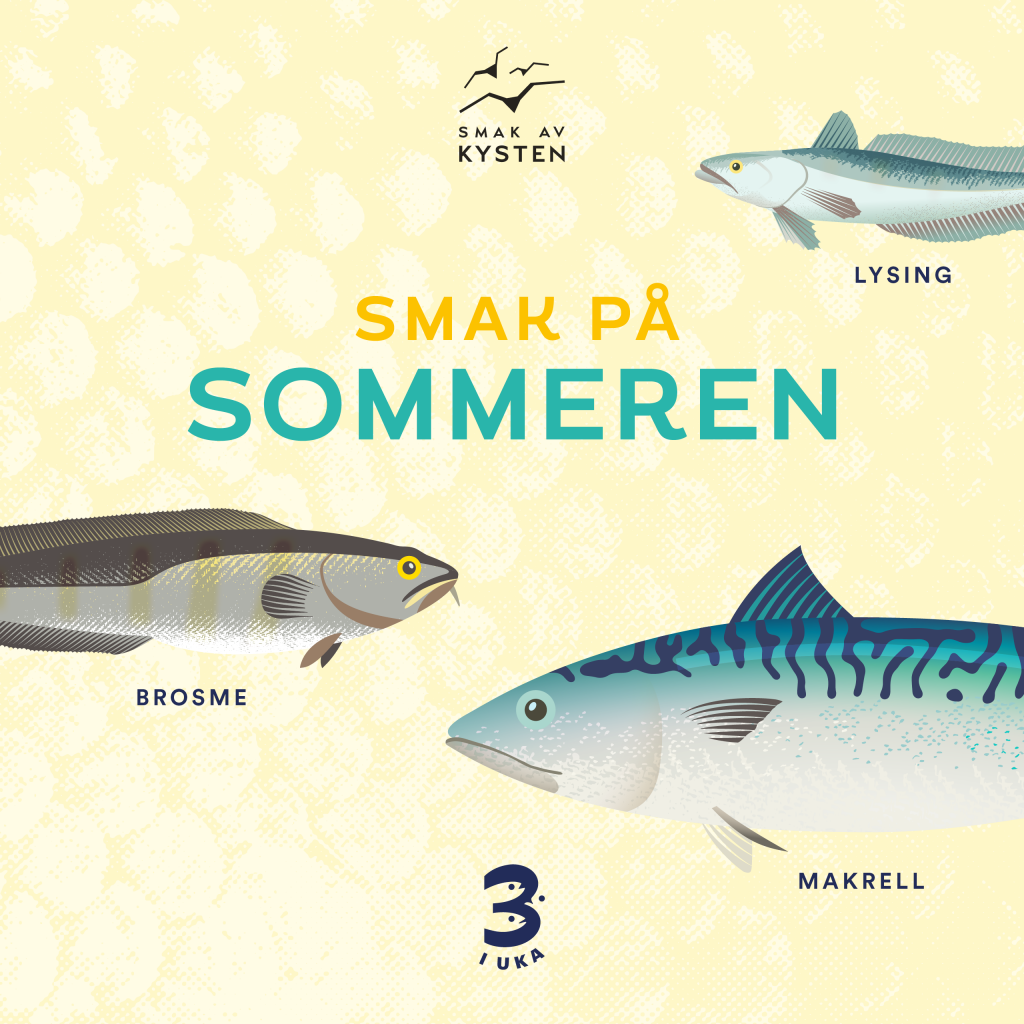 SPSommer_1-1