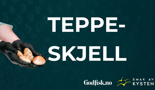 Lær mer om skjell – små delikatesser fra havet