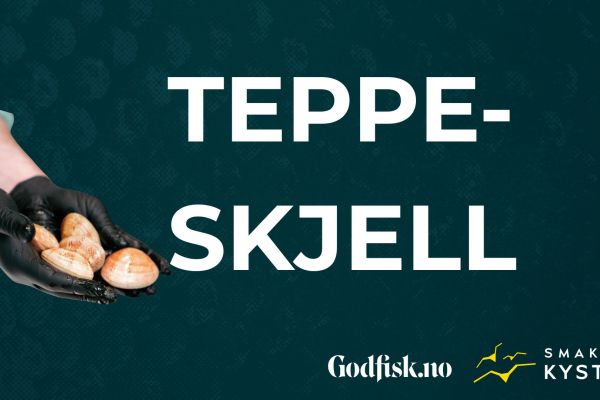 Lær mer om skjell – små delikatesser fra havet