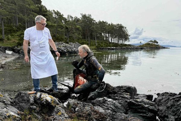 Lærerik fagdag i fjæra