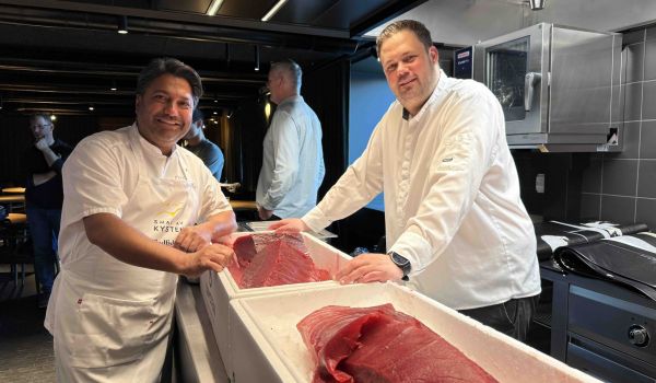 Makrellstørje – en råvare i verdensklasse rett utenfor kysten vår